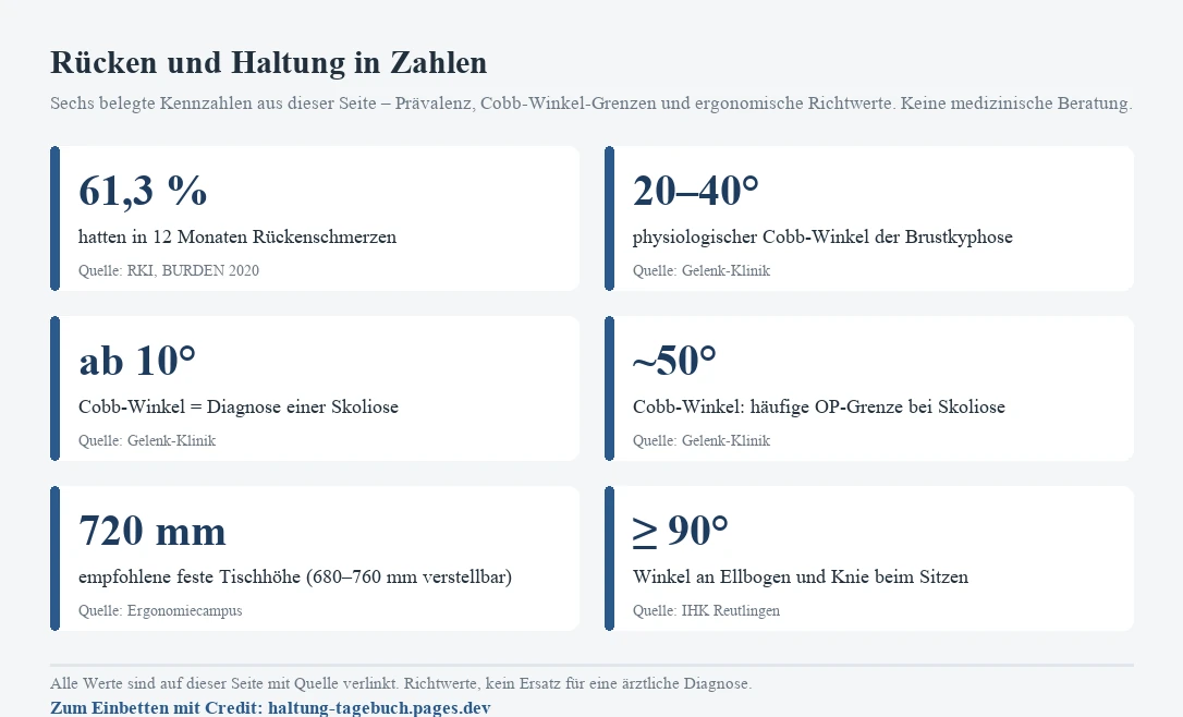 Kennzahlen-Karte zu Rücken und Haltung mit sechs belegten Werten. 61,3 Prozent der Befragten hatten laut RKI-Studie BURDEN 2020 in den letzten 12 Monaten Rückenschmerzen. Der physiologische Cobb-Winkel der Brustkyphose liegt zwischen 20 und 40 Grad (Gelenk-Klinik). Ab einem Cobb-Winkel von 10 Grad spricht man von einer Skoliose (Gelenk-Klinik). Ab etwa 50 Grad gilt der Cobb-Winkel häufig als Grenze, ab der bei Skoliose eine Operation nötig werden kann (Gelenk-Klinik). Die empfohlene feste Tischhöhe beträgt 720 Millimeter, höhenverstellbar 680 bis 760 Millimeter (Ergonomiecampus). Der Winkel an Ellbogen und Knie sollte beim Sitzen mindestens 90 Grad betragen (IHK Reutlingen). Alle Werte sind Richtwerte, kein Ersatz für eine ärztliche Diagnose.